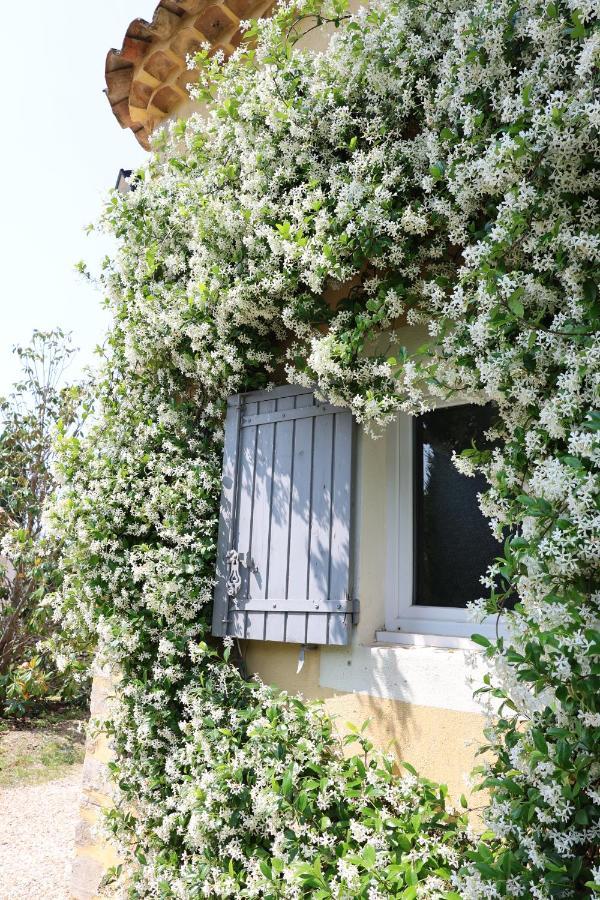 Bastide Magnolia - Les Dependances, Roussillon *